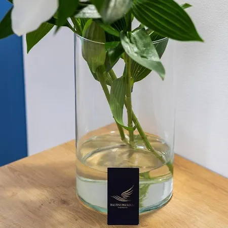 Apartment Baltini Premium Old Town *