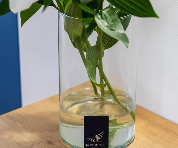 Apartment Baltini Premium Old Town *